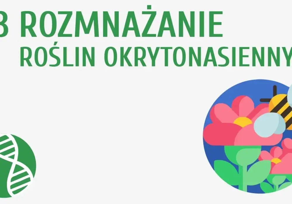Jak rozmnażają się rośliny nasienne? Odkryj sekrety ich cyklu życia