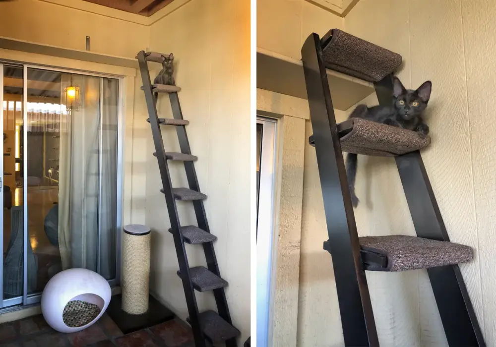 Drabinka dla kota na balkon: gotowa czy DIY? Bezpieczny montaż
