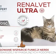 Kot rasy Maine Coon leżący obok pudełka suplementu Renalvet Ultra i logo Vet Expert.