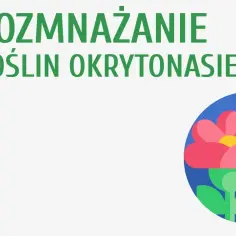 Jak rozmnażają się rośliny nasienne? Odkryj sekrety ich cyklu życia