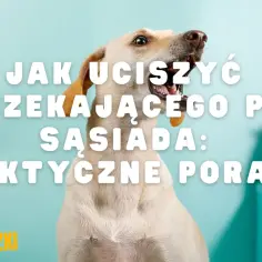 Jasny piesek siedzi na jasnoniebieskim tle, z białym tekstem "JAK UCIŚZYĆ SZCZEKAJĄCEGO PSA SĄSIADA: PRAKTYCZNE PORADY".