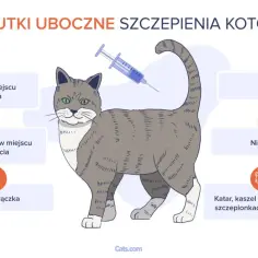 Ilustracja kota z zaznaczonymi potencjalnymi skutkami ubocznymi szczepienia.