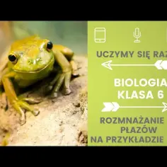 Jak rozmnażają się płazy? Zaskakujące fakty o ich cyklu życia