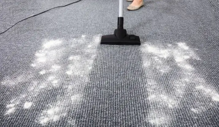 Zdjęcie Jak usunąć sierść z dywanu? Skuteczne metody na trudne plamy