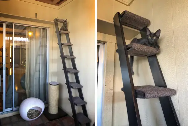 Drabinka dla kota na balkon: gotowa czy DIY? Bezpieczny montaż