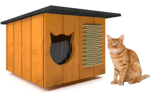Ocieplana buda dla kota: Zbuduj sam lub kup mądrze!