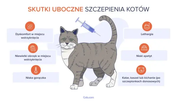 Skutki uboczne szczepienia kota: łagodne vs. groźne objawy
